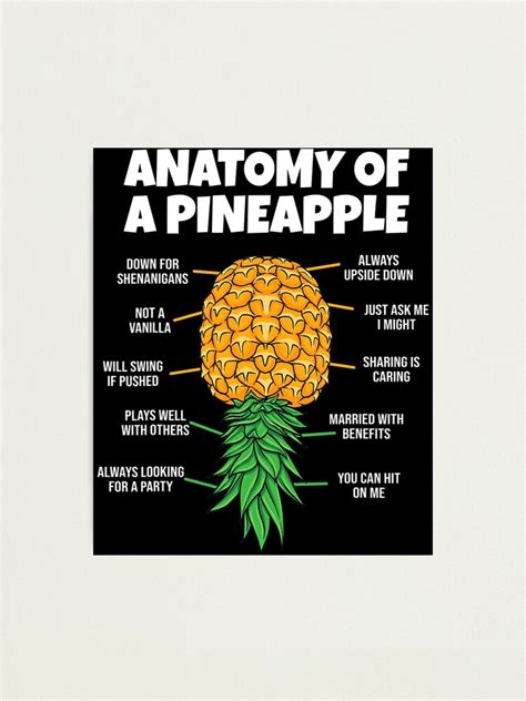Anatomy Of A Pineapple Swinger Funny Upside Down Pineapple