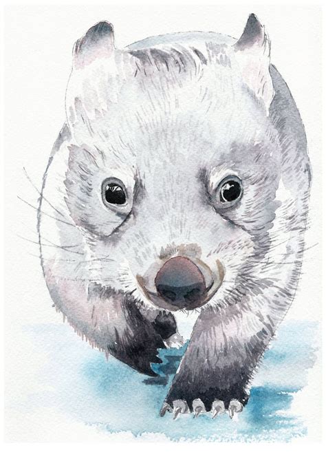 Figure study animals faces & expression hands & feet scenes & environments. Watercolour wombat fine art print, baby animal artwork, nursery wall decor, Australian wildlife ...