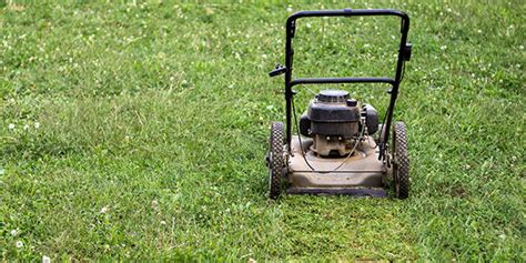 Our lawn technicians at aaa lawn care are trained on how to determine which soil conditioner is right for your lawn. spring lawn care | McLendon Hardware