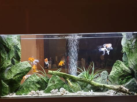 Maybe you would like to learn more about one of these? Aquadecor "F" models for dividing room aquariums ...