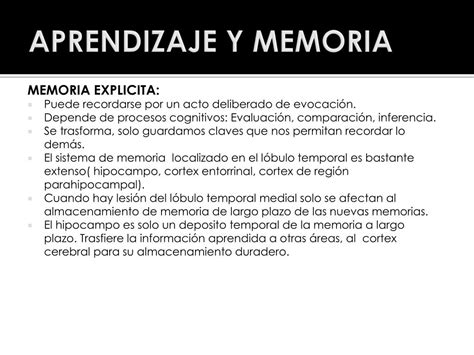 Ppt Corteza Cerebral Aprendizaje Y Memoria Powerpoint Presentation