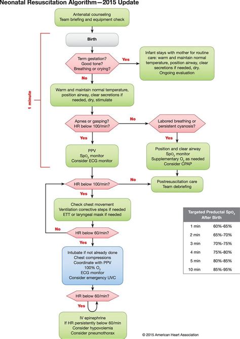 Nrp Resuscitation Neonatal Nurse Neonatal Care