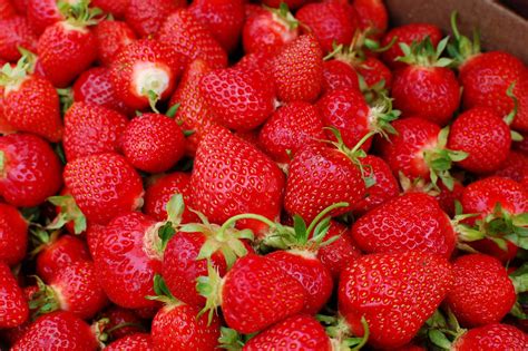 Strawberry - Fruit Photo (34914838) - Fanpop