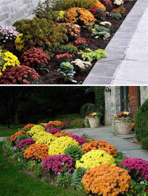 Plant Mums Pansies And Kale For The Fall Season