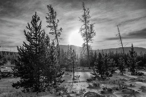 Yellowstone Winter Landscape 2 Photograph By Hugh Hargrave Fine Art America