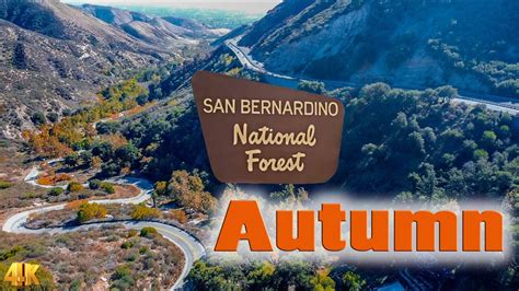 Autumn Sky Views In San Bernardino Nationl Forest In 4k Youtube