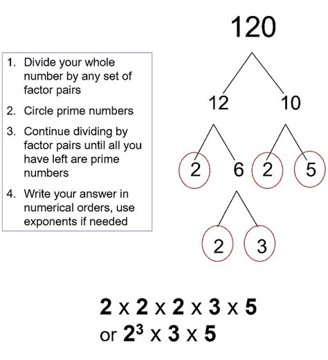 Prime Factorization Educational Resources K12 Learning Pre Algebra Whole Numbers And