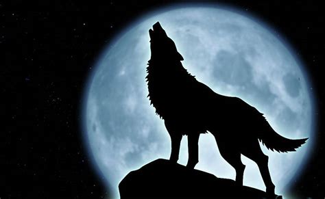 Thats The Moon And A Wolf Howling Too Lightning Wolf