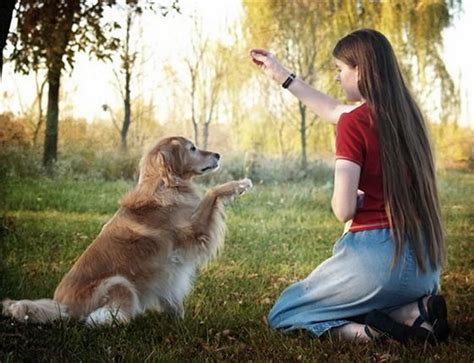 21 Touching Photos Of Relationship Between Dogs And Humans Design Swan