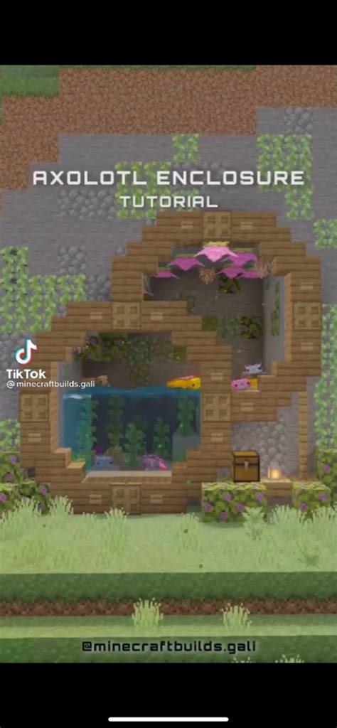 Axolotl Enclosure Minecraft Farm Minecraft Tutorial Minecraft Cottage
