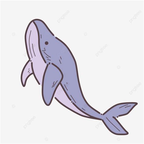 Lindo Clip Art De Ballena PNG Ballena Arte De Ballenas Ballena