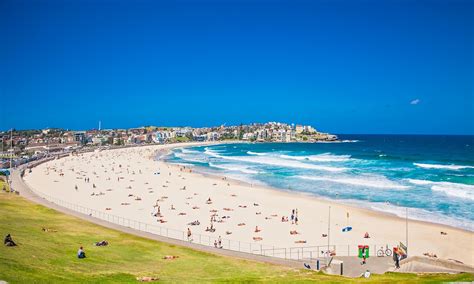 Top 5 Beaches In Sydney Live Last Minute