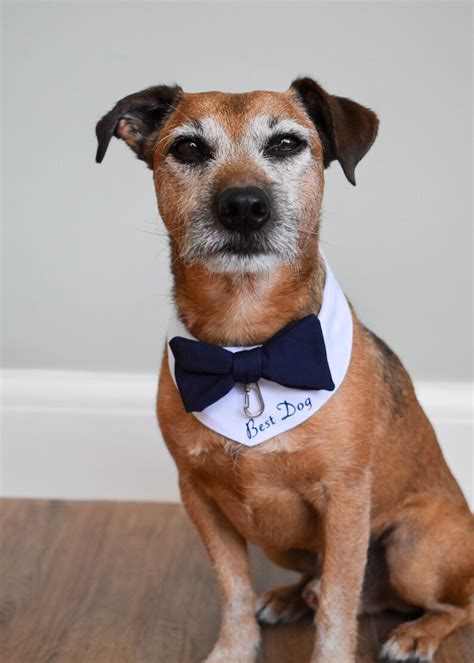 Custom Ring Bearer Dog Personalised Wedding Dog Outfit Dog Etsy