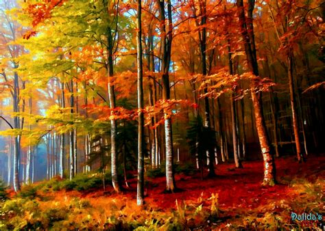 Colorful Forest By Dalidas Art Tree Images Nature Images Flower