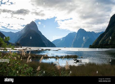 New Zealand South Island Mitre Peak Milford Sound Fiordland Stock