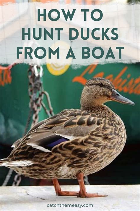 Hunting Ducks From A Boat Is A Lot More Common Than Hunting Them On