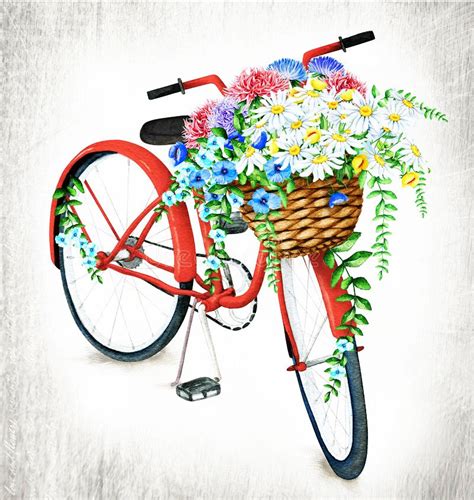 Red flower background red and white flowers cards, pattern, wreath. watercolor bicycle flowers, basket, summer, illustration ...