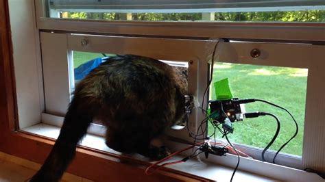 However, there's no questioning that cats would be safer if they spent less time walking the fence line. DIY Cat Door Control System Robot With Arduino - YouTube
