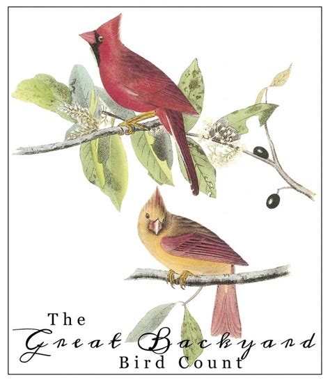 The Great Backyard Bird Count Great Backyard Bird Count Bird Wall