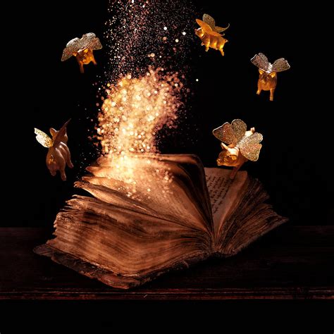 Magic book Photograph by Floriana Barbu
