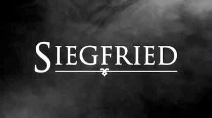 Opera Review Siegfried Lyric Opera Of Chicago Stage And Cinema
