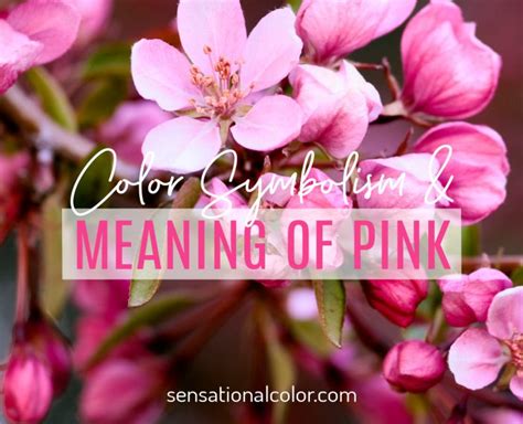 Meaning Of Pink Color Psychology And Symbolism