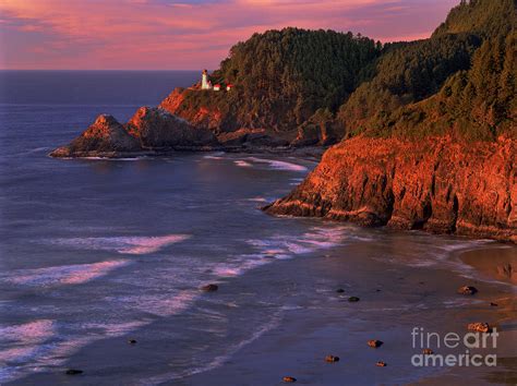 Heceta Head Lighthouse At Sunset Oregon Coast Photograph By Dave