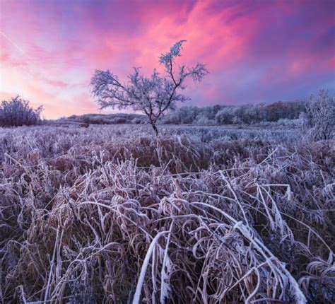 Winter Photography Scott Aspinall Landscape And Nature Photography