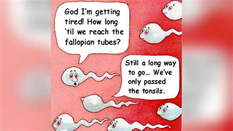 Two Sperm Cells Talking Trending Images Gallery List View Know