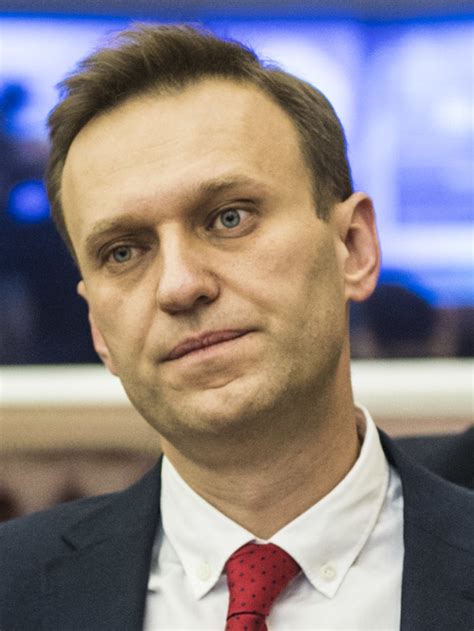 © valeriy melnikov / sputnik. Alexei Navalny - Wikipedia