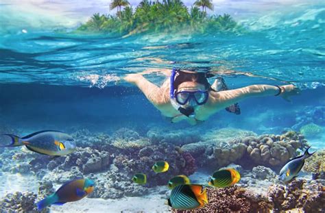 8 Best Snorkeling Spots In Cancun Globo Surf