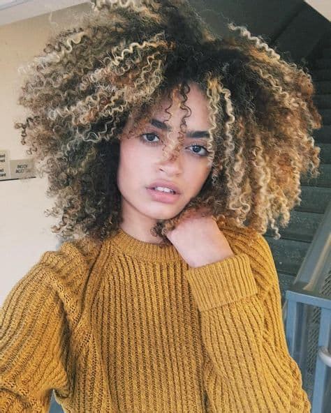 12 Curly Brown Hairstyles With Blonde Highlights