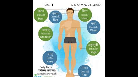 Std 6 Body Parts In Sanskrit Youtube