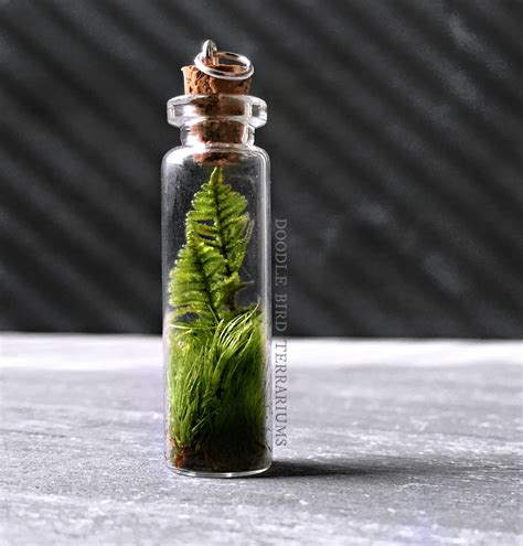 Live Fern Moss Terrarium Bottle Necklace