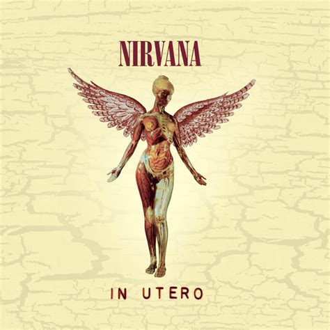 Nirvana - In Utero at Discogs Search free nirvana in utero ringtones and wallpapers on zedge and personalize your phone to suit you.