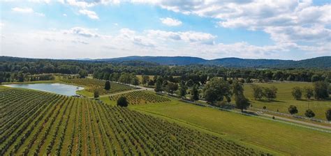 Award Winning Wines On Monticello Wine Trail The Local Palate