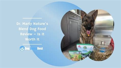 Dr Marty Natures Blend Dog Food Review Is It Worth It Dog Loves Best