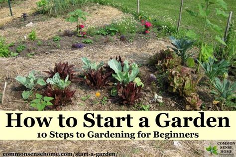 How To Start A Garden 10 Steps To Gardening For Beginners