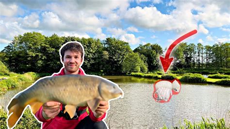 Fly Fishing For Carp Bread Flies Crazy Surface Fishing Youtube
