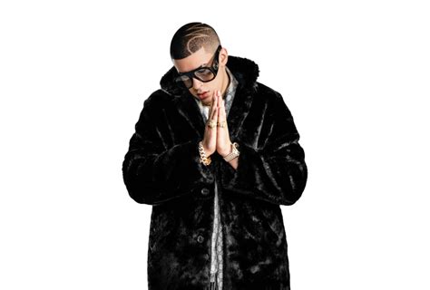 The image is png format with a clean transparent background. Bad Bunny PNG Transparent Images, Pictures, Photos | PNG Arts