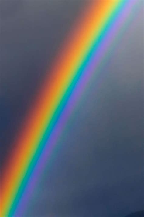 rainbow | Rainbow light, Rainbow aesthetic, Rainbow colors
