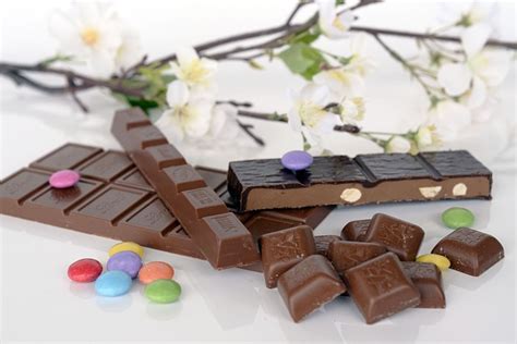 Chocolate Swiss Sweets Free Photo On Pixabay Pixabay