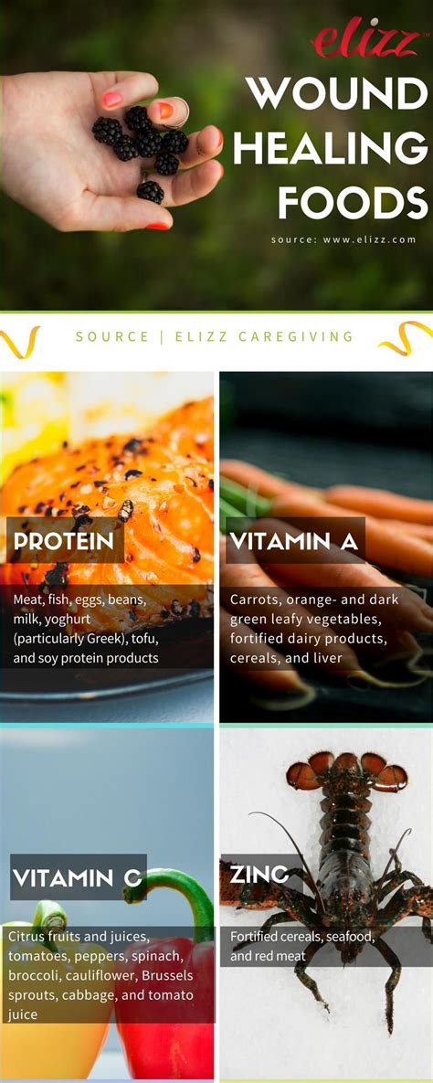 Nutrition Wound Healing Food Infographic Healing Food Food