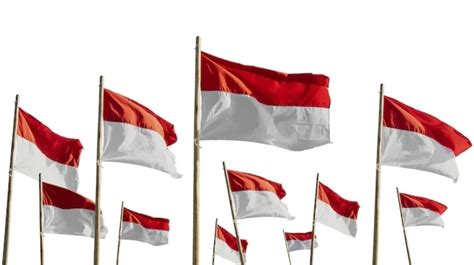 6 Fakta Di Balik Sejarah Bendera Merah Putih Sempat Dipisah Jadi Dua