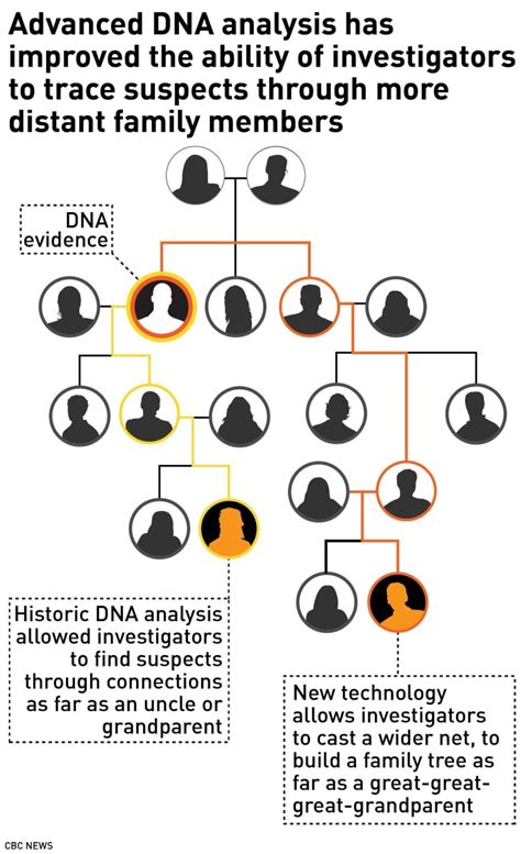 Vancouver Police Using Same Dna Technique That Caught Suspected Golden