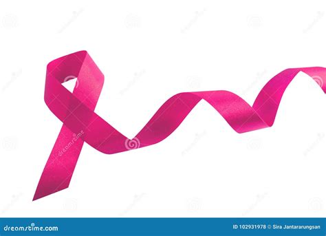 Pink Ribbon Symbolic Bow Color Raising Awareness On People Living With