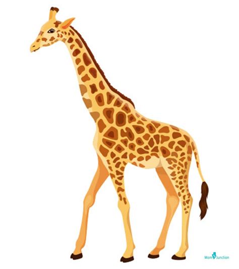 How To Draw A Giraffe Easy Step By Step Tutorial For Kids