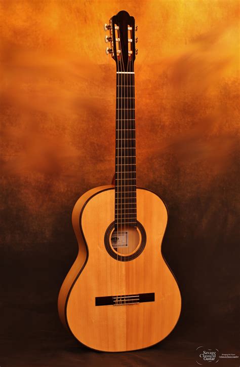 D’Addario Pro Arte Classical Guitar – SamSenString