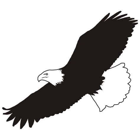 Vector For Free Use Flying Eagle Vector