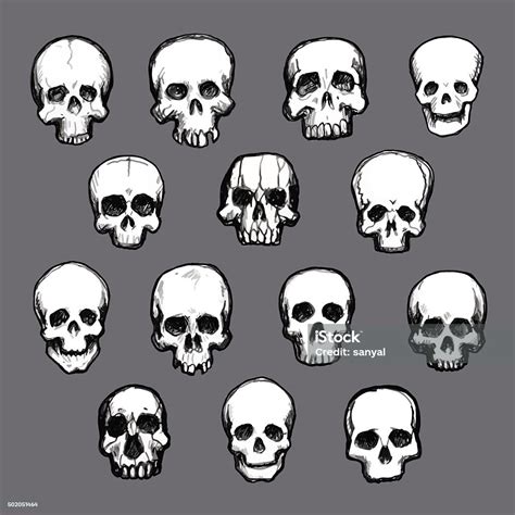 Set Of Hand Drawn Skulls Stock Illustration Download Image Now 2015